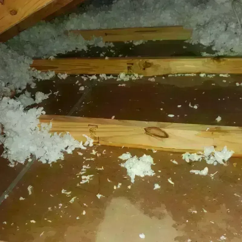 Attic Water Damage in Hutchinson, MN