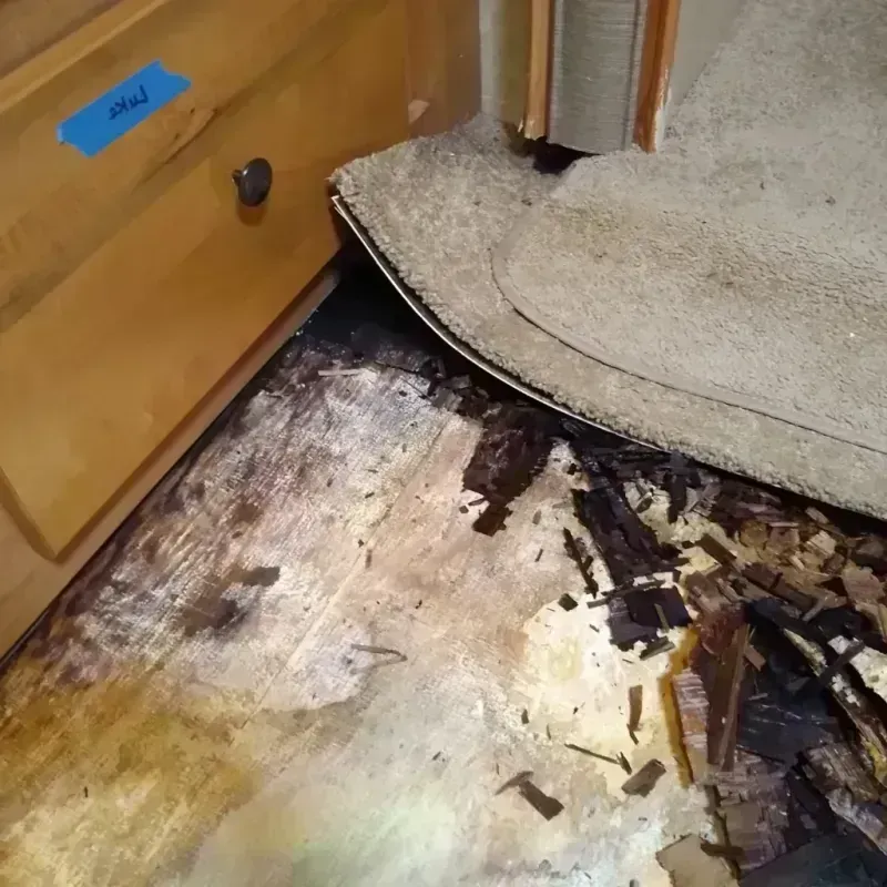 Wood Floor Water Damage in Hutchinson, MN